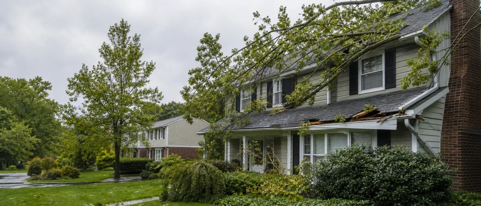 Storm-damaged residential property after a fallen-tree impact